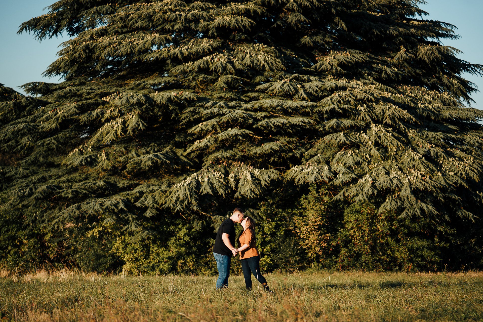 Engaged couple kissing during their autumnal sunset engagement shoot at Lullingstone Country Park, Kent
